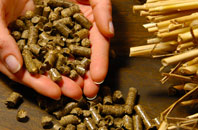 free Binnegar biomass boiler quotes